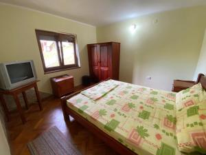 Gornja ToplicaKonaci Nikola Banja Vrujci的一间卧室配有一张床和一台电视。