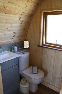 艾茅斯Braeview Glamping的一间带卫生间、水槽和窗户的浴室