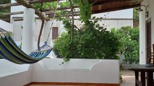 斯特龙博利Agriturismo SoleMare的花园里的吊床挂在天花板上