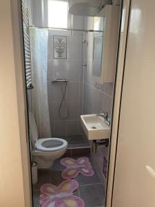 索科矿泉村Gala的一间带卫生间和水槽的小浴室