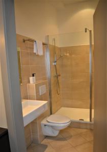 安特卫普Hotel Mezonvin的浴室配有卫生间、盥洗盆和淋浴。