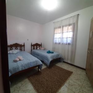 坎波斯杜若尔当Casa Quintanilha的一间卧室设有两张床和窗户。