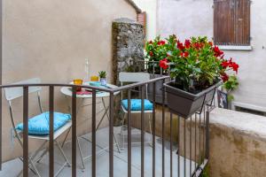 马尔切西内Picalof Apartments的阳台配有桌子和盆栽植物