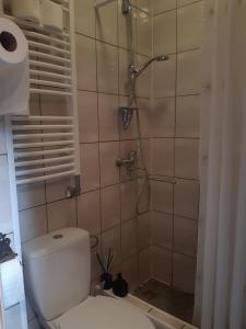 比尔扎伊Pas Ligita的带淋浴、卫生间和淋浴的浴室