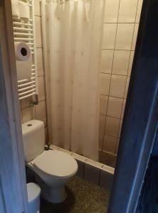 比尔扎伊Pas Ligita的一间带卫生间和淋浴的小浴室