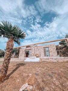 阿莫利亚尼岛Stone built house next to the beach的一座石头房子,前面有棕榈树