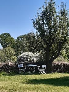 德雷施维茨Ferienwohnung Wald und Weitblick的田野里树下的一张桌子和两把椅子