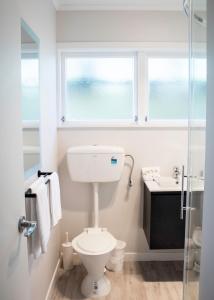 派西亚Rehutai Beach House的一间带卫生间、水槽和窗户的浴室