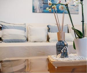 罗达奇诺布拉奥别墅的一张带花瓶的桌子和一张沙发