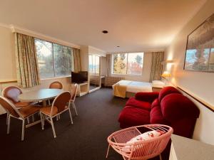 朗塞斯顿柏丽汽车旅馆 的酒店客房设有沙发、桌子和床。
