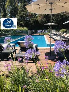 斯普利特绿洲生活客房酒店的一座带紫色花卉和遮阳伞的游泳池