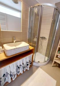KomenApartma Kras的一间带水槽和淋浴的浴室