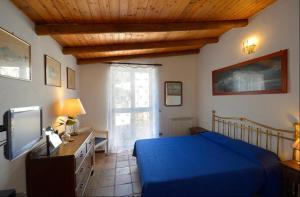 伊斯基亚Villa Vincenzo Di Meglio的一间卧室配有蓝色的床和电视