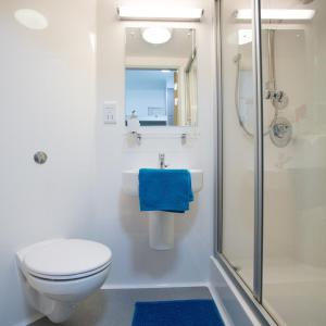阿伯里斯特威斯Fferm Penglais Apartments的浴室配有卫生间水槽和淋浴。