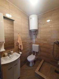 布德瓦Lastva Holliday Rooms的一间带卫生间和水槽的浴室
