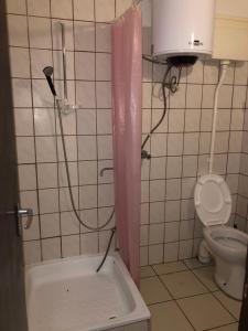 蒂萨菲赖德Patkós Motel的浴室设有粉红色的淋浴帘