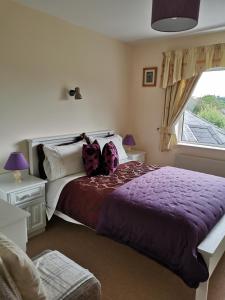 基拉尼Noraville House的一间卧室配有一张带紫色床单的床和窗户。