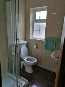 基拉尼Noraville House的浴室配有卫生间、淋浴和盥洗盆。