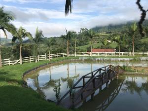 CobrasSítio com belíssima paisagem para relaxar的相册照片