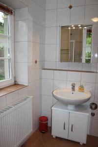 PlütscheidLandhaus Monika的一间带水槽和镜子的浴室