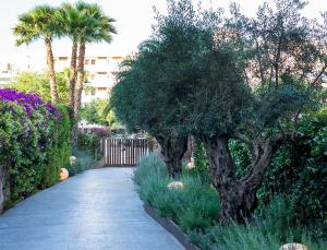 伊维萨镇朱贝特太阳舒适B公寓式酒店的花园中种有树木和花卉的走道