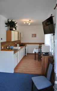 科热诺夫Penzion Zelinka的一个带水槽的厨房和客房内的电视