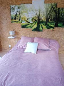 热莫扎克Le petit Radieux的紫色的床,上面有白色枕头