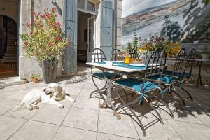 阿维尼翁德玛戈别墅住宿加早餐旅馆的一只狗躺在桌子和椅子旁边