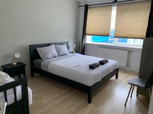 WormerApartments Zaanse Schans and Amsterdam的一间卧室设有一张床和一个大窗户