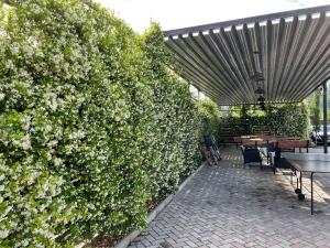 皮聪达Hotel Mandarin的庭院里带桌椅的大型绿荫 ⁇ 