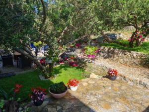杜埃Apartman Dalmatia的种有盆栽植物、树木和鲜花的花园