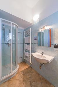 马达莱纳伊尔甘比亚诺酒店的一间带水槽和淋浴的浴室