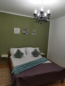 科斯蒂内什蒂维拉快乐之家旅馆的一间卧室配有一张带绿色墙壁和吊灯的床。