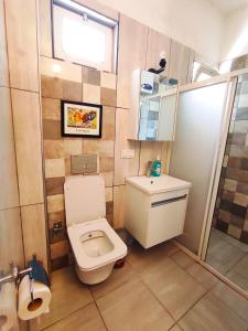 卡斯Likya SUP Apart的一间带卫生间和水槽的小浴室