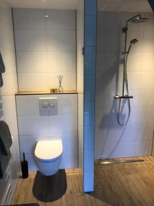HeerdeB&B Onderderietenkap的一间带卫生间和淋浴的浴室