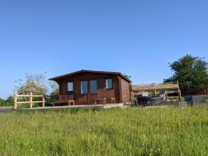 坎特伯雷Foxhill Lodges的草场上的小木屋