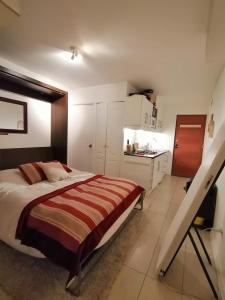 圣地亚哥SKI In/Out Monteblanco El Colorado的一间带大床的卧室和一间厨房