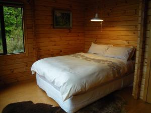 CassArthur's Pass Ecolodge的小木屋内一间卧室,配有一张床