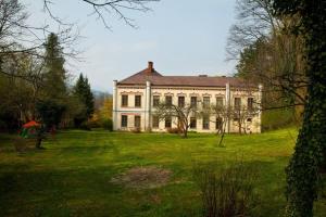 赖兴瑙Sisi-Schloss Rudolfsvilla - Trio - 12 Gäste的前面草地上的一个大房子