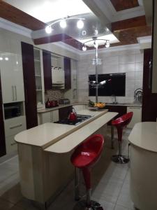 LusikisikiKwaNomzi Botique Lodge的厨房配有柜台和2张红色吧台凳