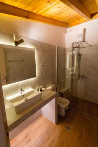帕尔加Santakira Villas的一间带水槽、卫生间和镜子的浴室