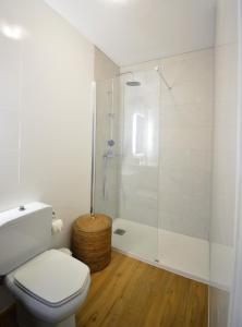 圣地亚哥－德孔波斯特拉Santiago Apartment的一间带卫生间和玻璃淋浴间的浴室