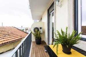 里斯本Prestige Ajuda Apartment的建筑里两株盆栽植物的阳台