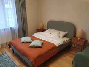 格但斯克Serce Gdańska的一间卧室配有一张带两个枕头的床