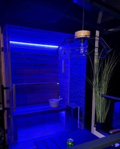 凯斯特海伊Relax Sauna Apartman privát finn szaunával的植物间里的一个蓝色的灯光