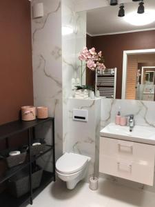 卡尔帕奇White Viev Rose的浴室配有白色卫生间和盥洗盆。
