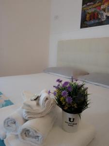 托雷拉皮罗Camera Noemi的桌子上一束鲜花和一条毛巾