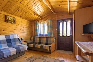 波拉齐克Domki Nad Potokiem的小木屋配有沙发、电视和门