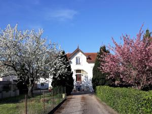 默兹河畔凡尔登La Maison Mirabeau的前面有花树的白色房子