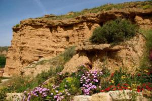 普瑞拉纳Hábitat Troglodita Almagruz的岩石悬崖前的一束鲜花